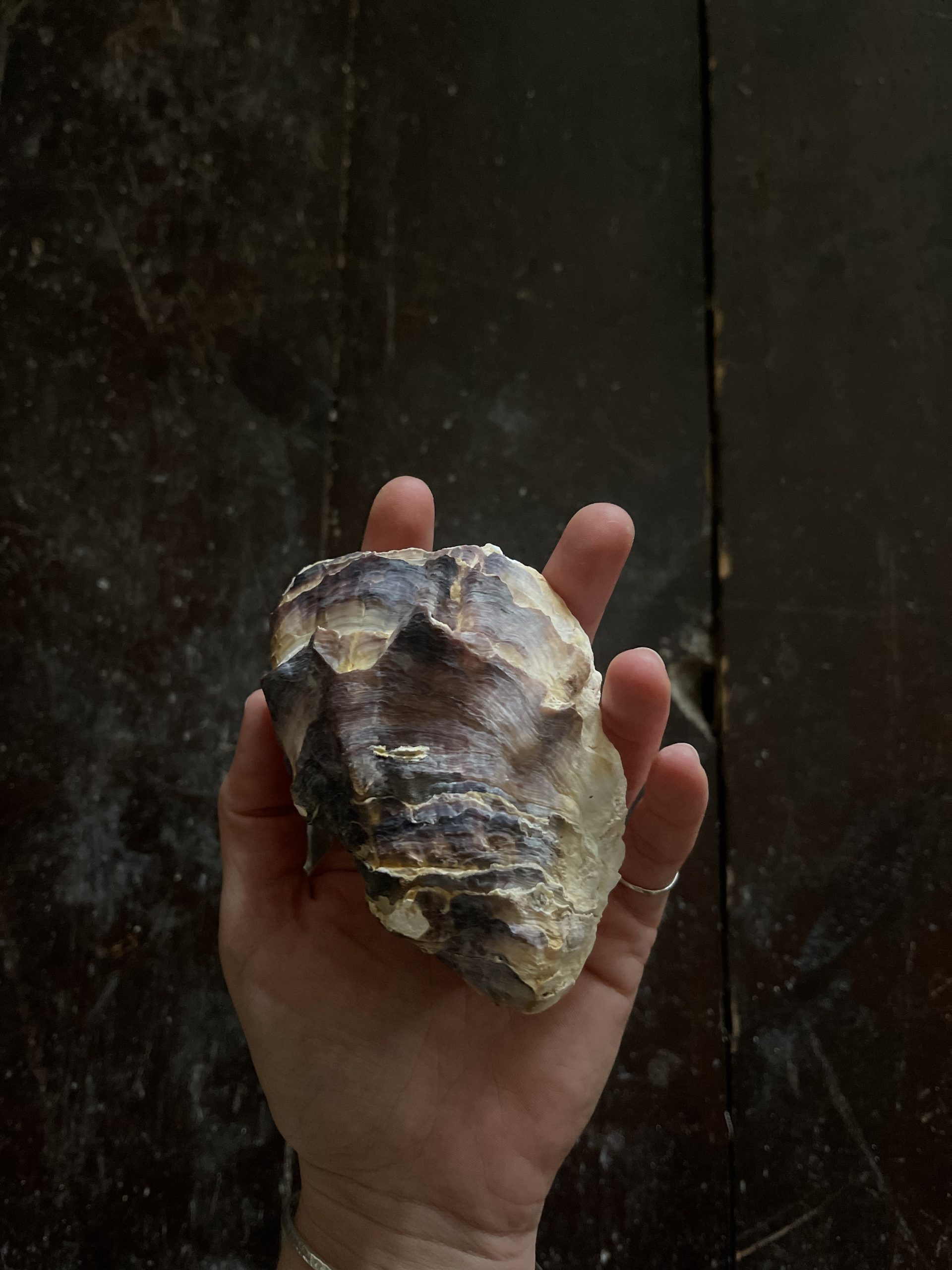 Red Apollo - Image 2