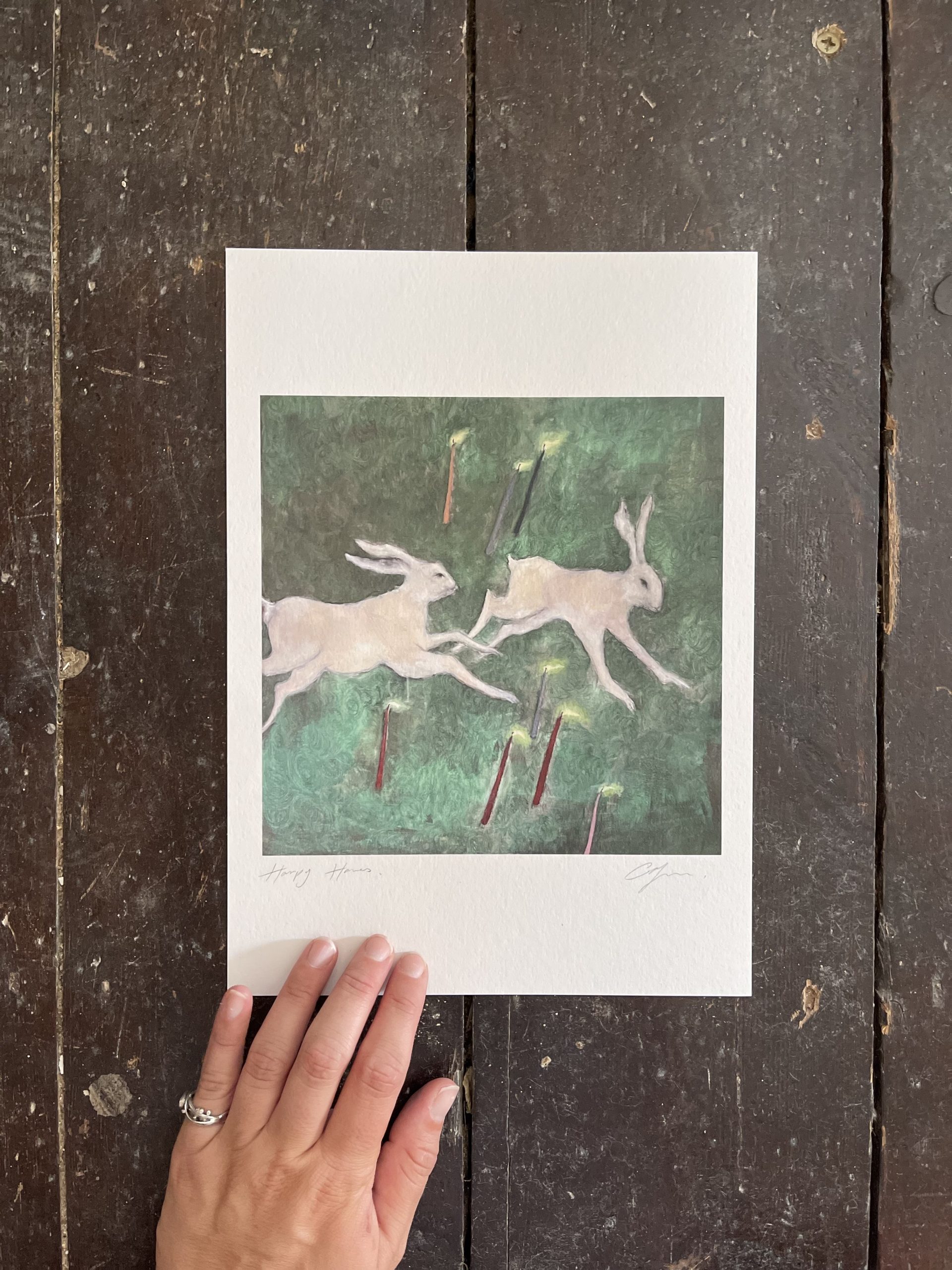 A4 Harpy Hares